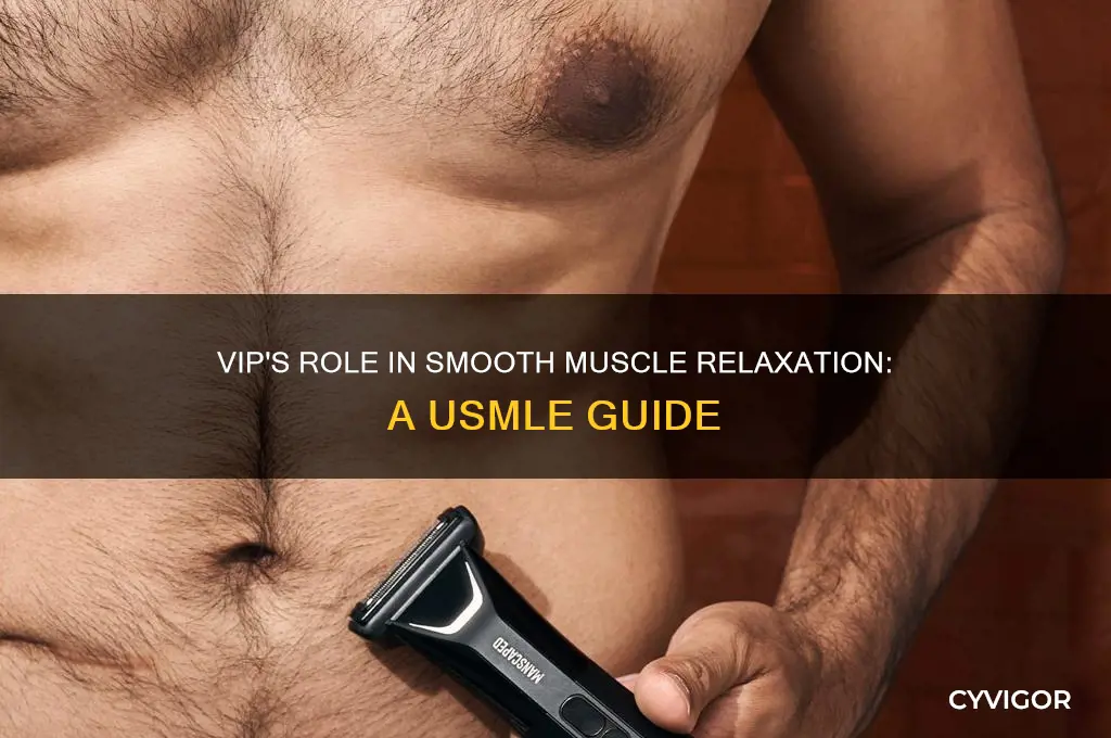 why does vip relax smooth muscle usmle