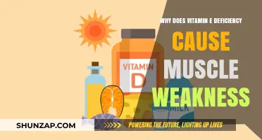 Vitamin E Deficiency: Unraveling Its Link to Muscle Weakness
