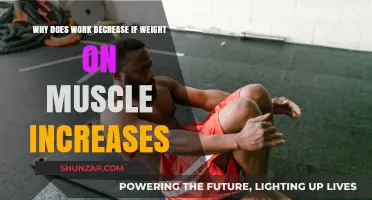 Increased Muscle Load: Understanding Why Work Efficiency Decreases with Weight