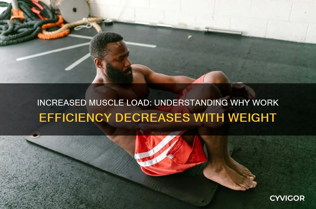 why does work decrease if weight on muscle increases