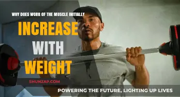 Muscle Work and Weight: Understanding the Initial Strength Surge