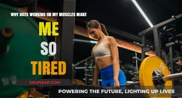 Muscle Fatigue Explained: Why Strength Training Drains Your Energy