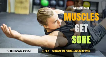 Unraveling the Mystery: Why Your Muscles Get Sore After Exercise