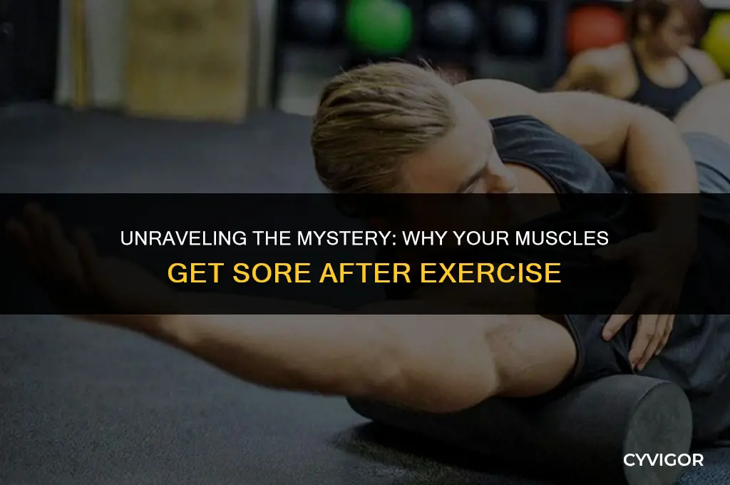 why does your muscles get sore