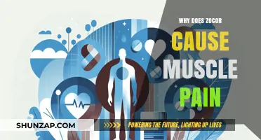 Understanding How Zocor Triggers Muscle Pain: Causes and Solutions