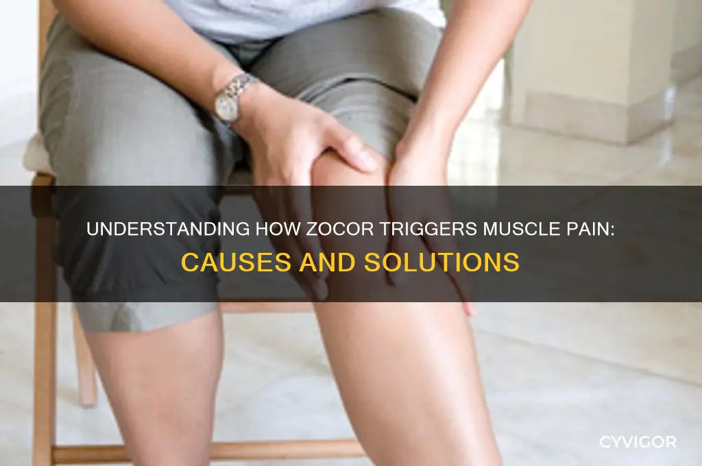 why does zocor cause muscle pain