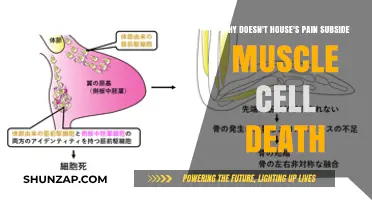 House's Chronic Pain Mystery: Unraveling Muscle Cell Death's Persistent Agony