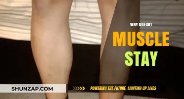 How to Maintain Muscle Gains?