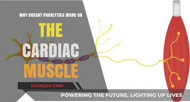 Why Paralytics Fail to Affect Cardiac Muscle Functionality