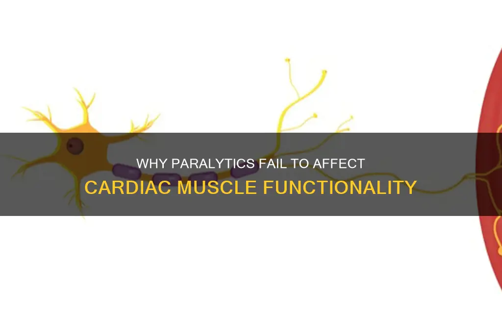 why doesnt paralytics work on the cardiac muscle