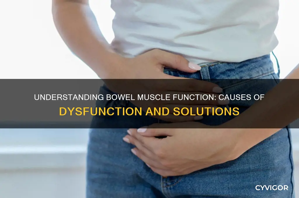 why don bowel muscles work