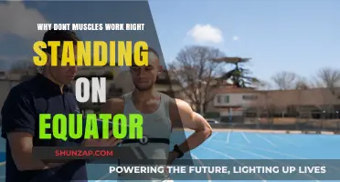 Equatorial Muscle Mystery: Why Standing on the Equator Affects Performance