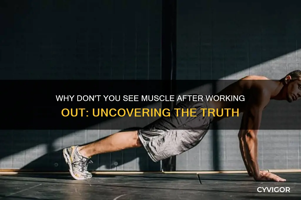 why dont you see muscle after working out