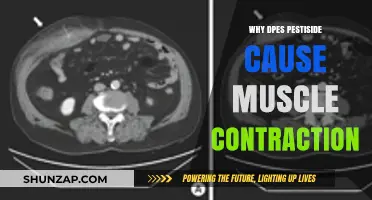 Pesticides and Muscle Contractions: Unraveling the Toxic Connection