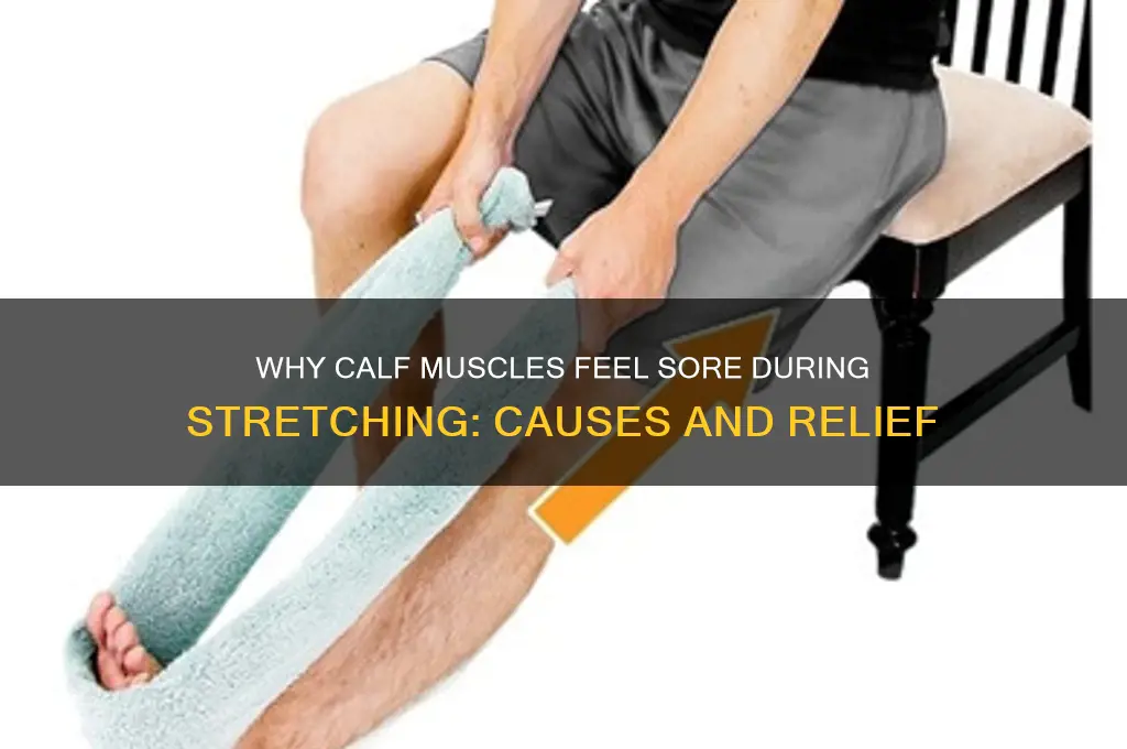 why during streching calf muscles are sore