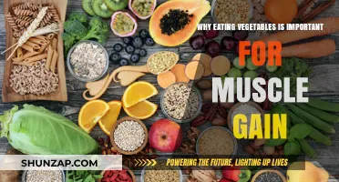 Fuel Your Gains: The Muscle-Building Power of Eating Vegetables