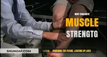 Muscle Strength: Why Measure and Evaluate?