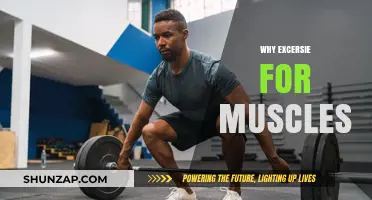 Building Muscles: The Benefits of Exercise