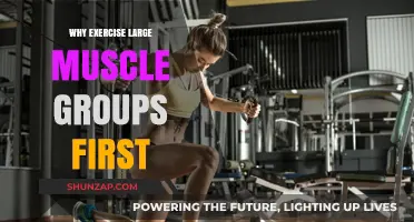Maximize Workouts: Prioritize Large Muscle Groups for Optimal Results