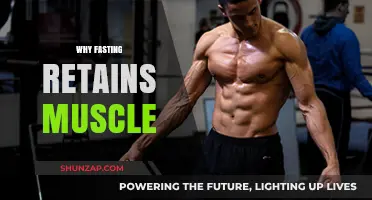 Fasting Retains Muscle: The Science Behind It