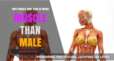 Why Women Build Less Muscle Than Men: Biological Factors Explained