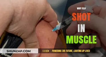 Flu Shots: Why Intramuscular?