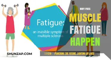 Understanding Muscle Fatigue: Causes and Prevention