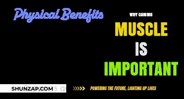 Why Building Muscle Matters: Health, Strength, and Longevity Benefits