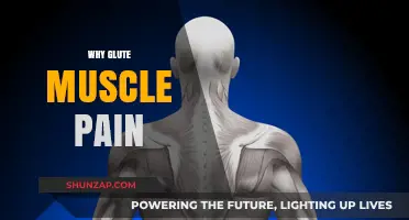 Understanding Glute Muscle Pain: Causes, Symptoms, and Effective Relief Strategies