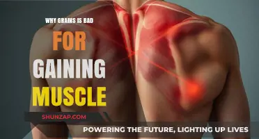 Grains and Muscle Gain: Uncovering the Hidden Hindrance to Growth