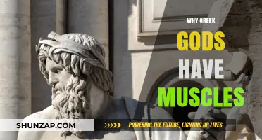 The Muscularity of Greek Gods: A Symbolic Representation