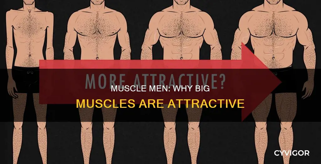 why guys want big muscles