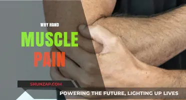 Understanding Hand Muscle Pain: Causes, Prevention, and Effective Relief Strategies