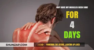 Persistent Muscle Soreness: Understanding 4-Day Pain Causes and Remedies