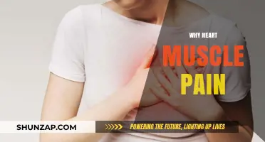 Understanding Heart Muscle Pain: Causes, Symptoms, and When to Seek Help