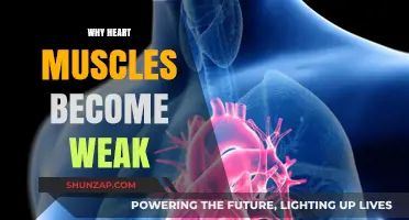 Heart Muscle Weakness: What's Behind It?