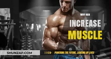 How HGH Increases Muscle Mass