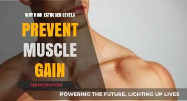 High Estrogen Levels: The Hidden Barrier to Building Muscle Mass
