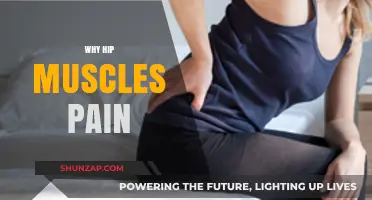 Understanding Hip Muscle Pain: Causes, Symptoms, and Effective Relief Strategies