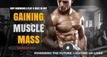 Hormonal Imbalance: The Hidden Culprit Behind Your Muscle Gain Struggles