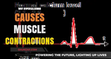 Hypercalcemia's Impact: Unraveling the Link to Muscle Contractions