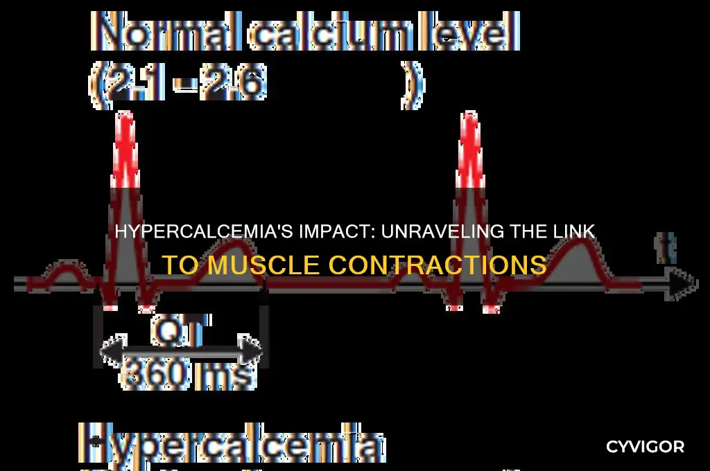why hypercalcemia causes muscle contractions