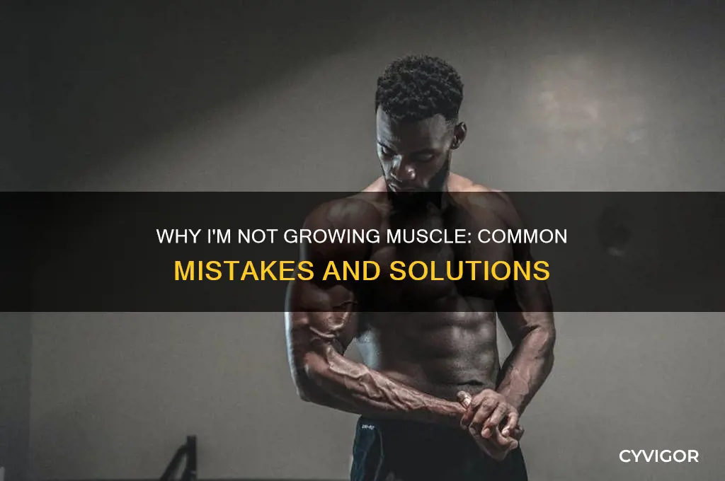 why i am not growing muscle