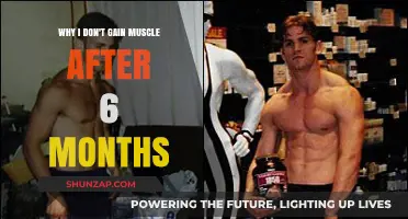 Why I'm Not Gaining Muscle After 6 Months of Training
