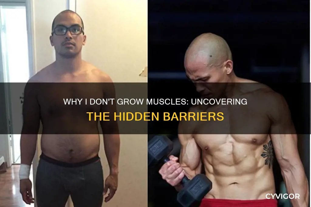 why i don