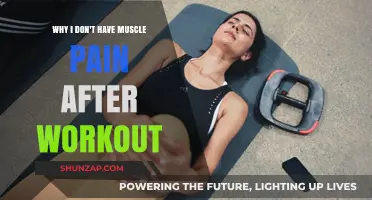No Post-Workout Muscle Pain: My Secrets to Recovery and Relief