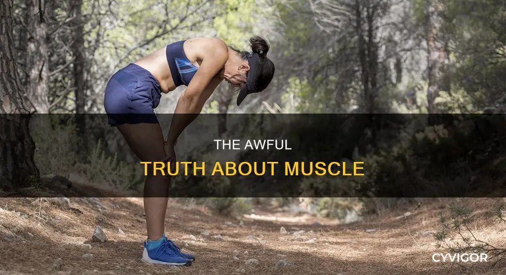 why i hate muscle