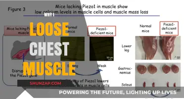 Chest Muscle Loss: What's the Reason?
