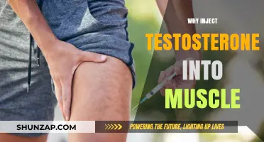 Testosterone Muscle Injections: Why This Route?