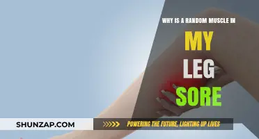 Why Is a Random Muscle in My Leg Sore? Causes Explained